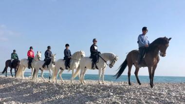 hípica caballos Benicarló turismo activo Castellón 