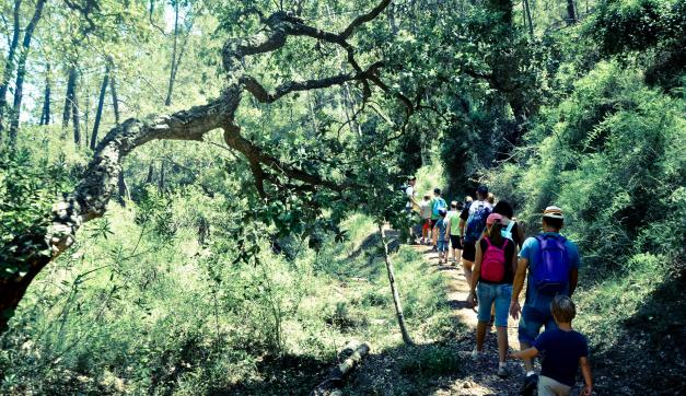 Sierra de Espadán