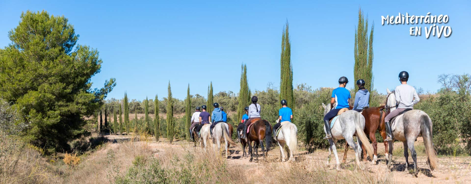 Grupo de jinetes recorriendo la Comunitat Valenciana