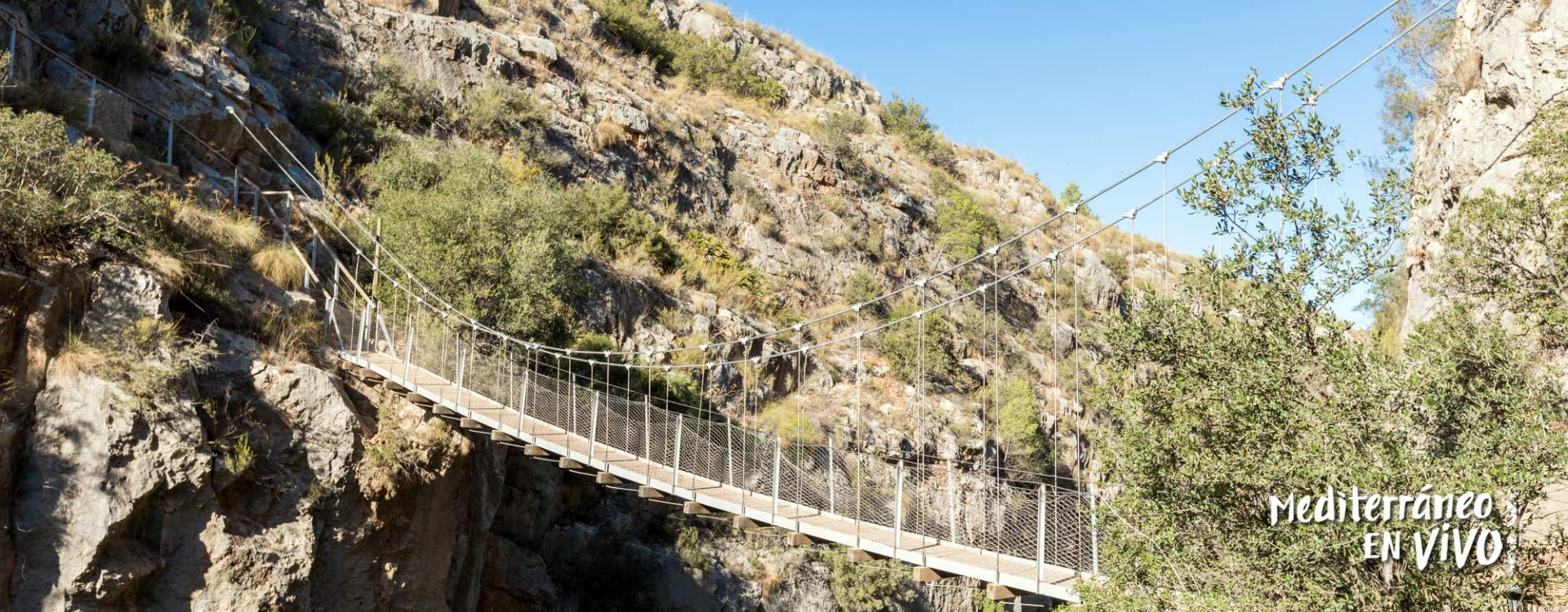 Puente colgante para senderismo en un entorno verde en la Comunidad Valenciana